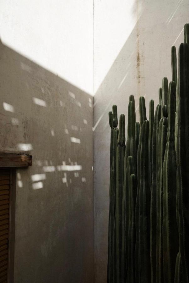 Hotel Casa Carmen Reforma Oaxaca Exterior foto